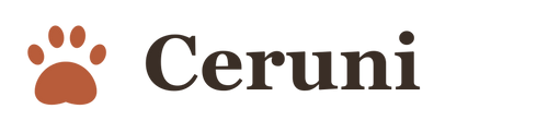 Ceruni